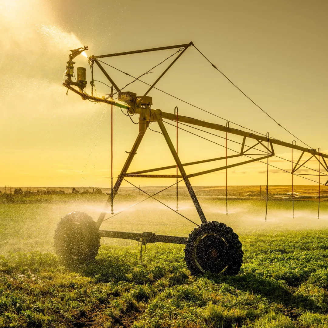 hub irrigation.